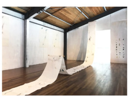 Maria Fernanda Carlos