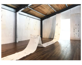 Maria Fernanda Carlos