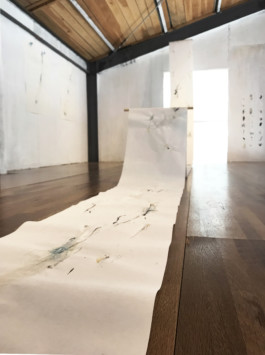 Maria Fernanda Carlos