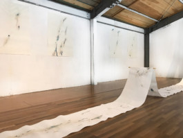 Maria Fernanda Carlos