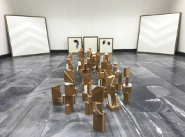 Maria Fernanda Carlos