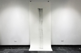 Maria Fernanda Carlos