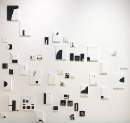 Maria Fernanda Carlos