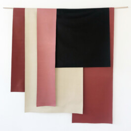 Maria Fernanda Carlos