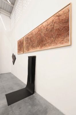 Maria Fernanda Carlos