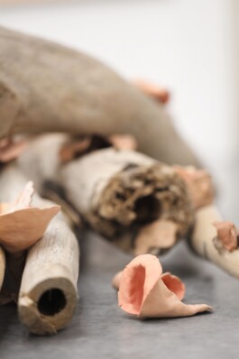 Maria Fernanda Carlos