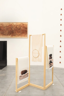 Maria Fernanda Carlos