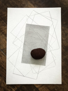 Maria Fernanda Carlos