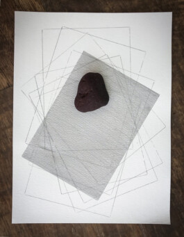 Maria Fernanda Carlos