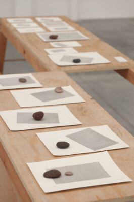 Maria Fernanda Carlos