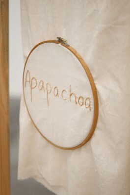 Maria Fernanda Carlos