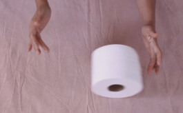 Maria Fernanda Carlos