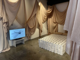 Maria Fernanda Carlos