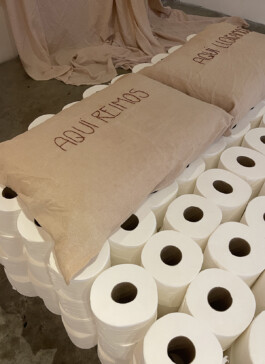 Maria Fernanda Carlos